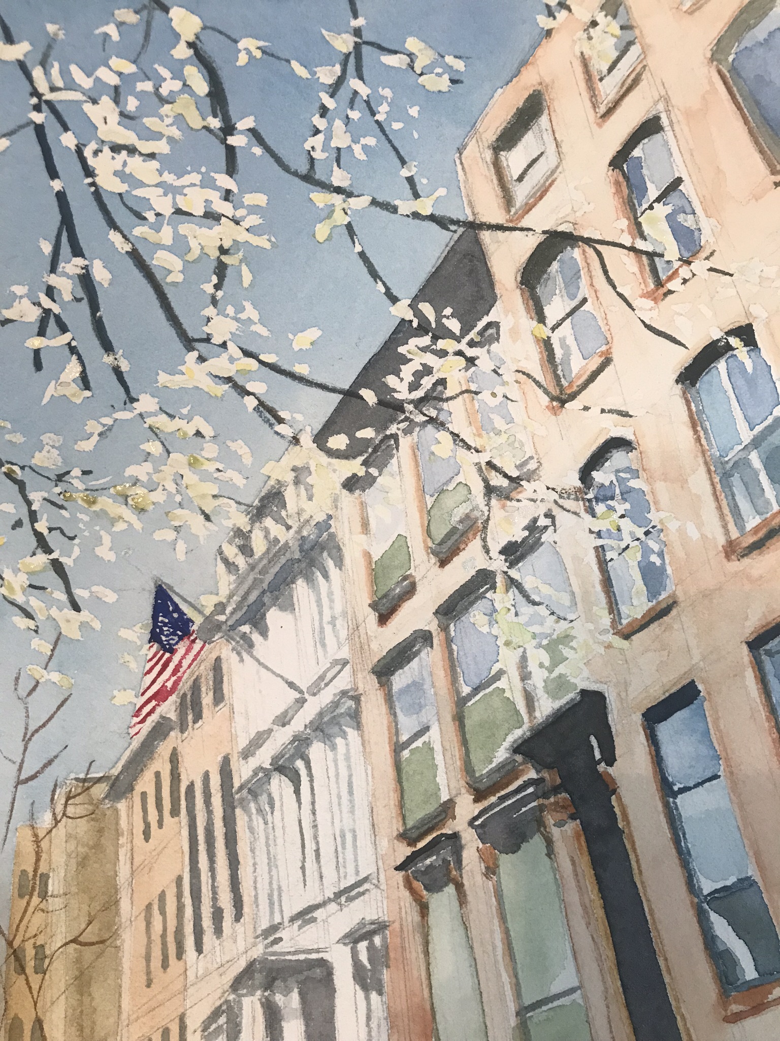 Brooklyn Street