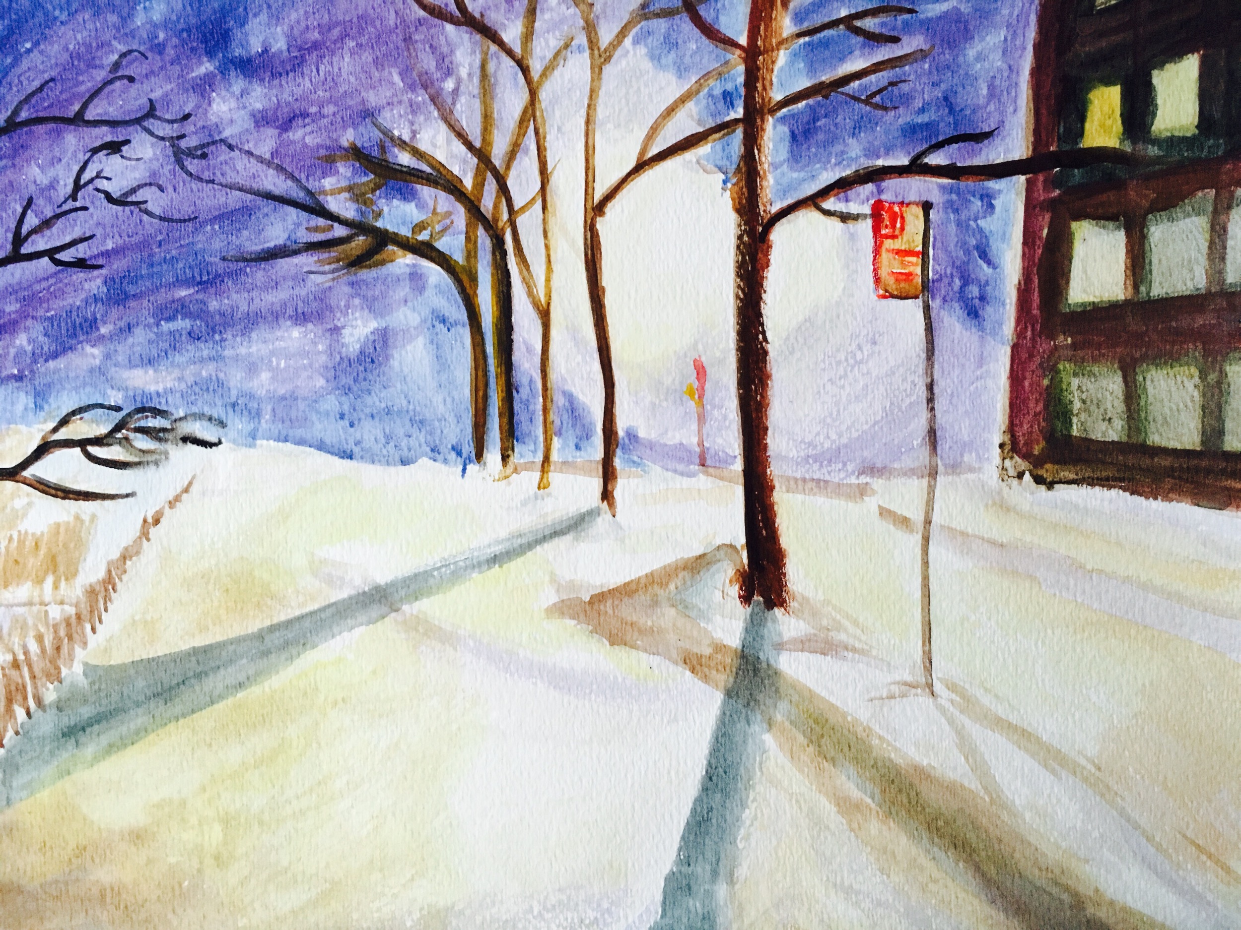 NYC in snowstorm
