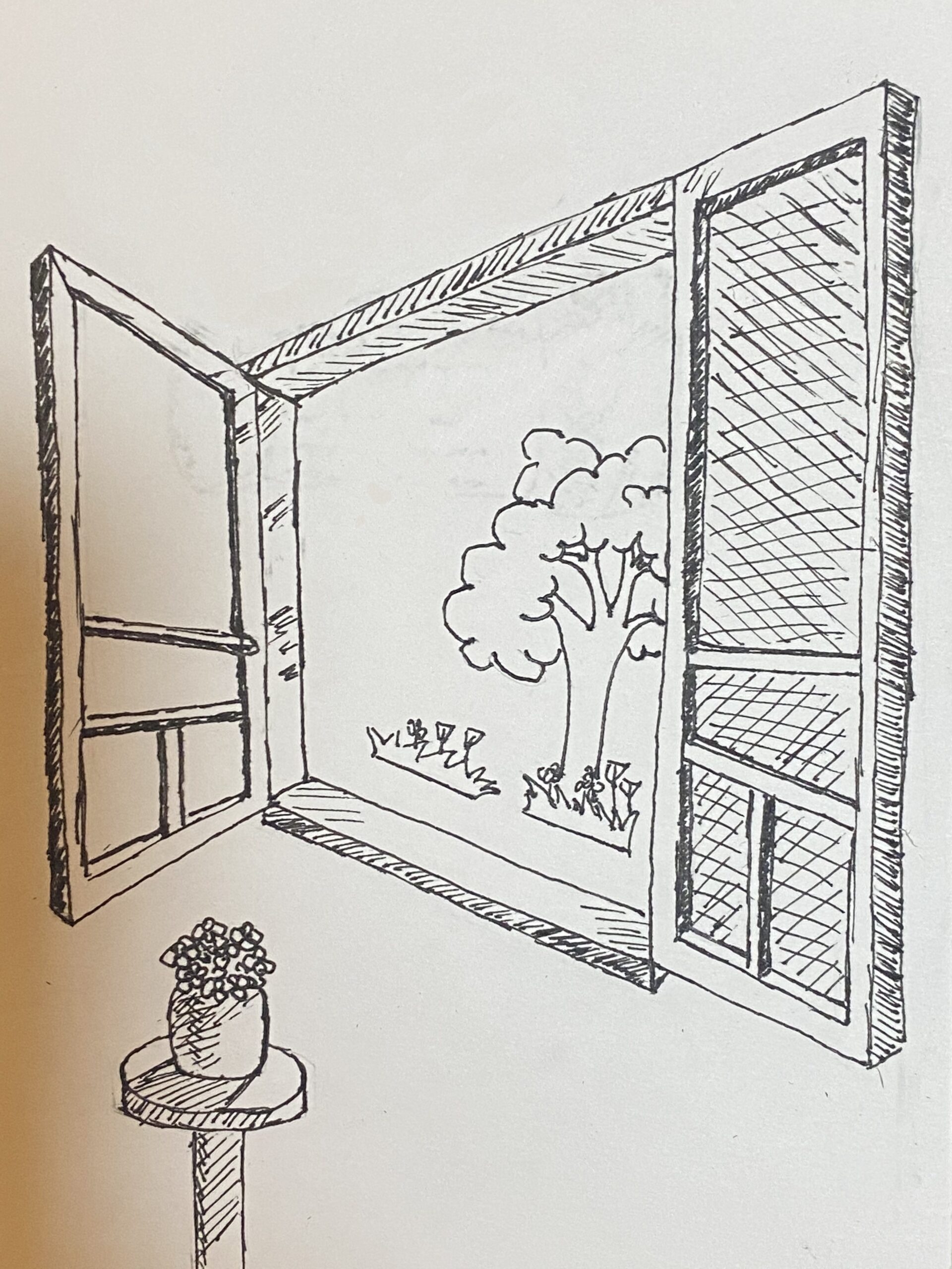 Window