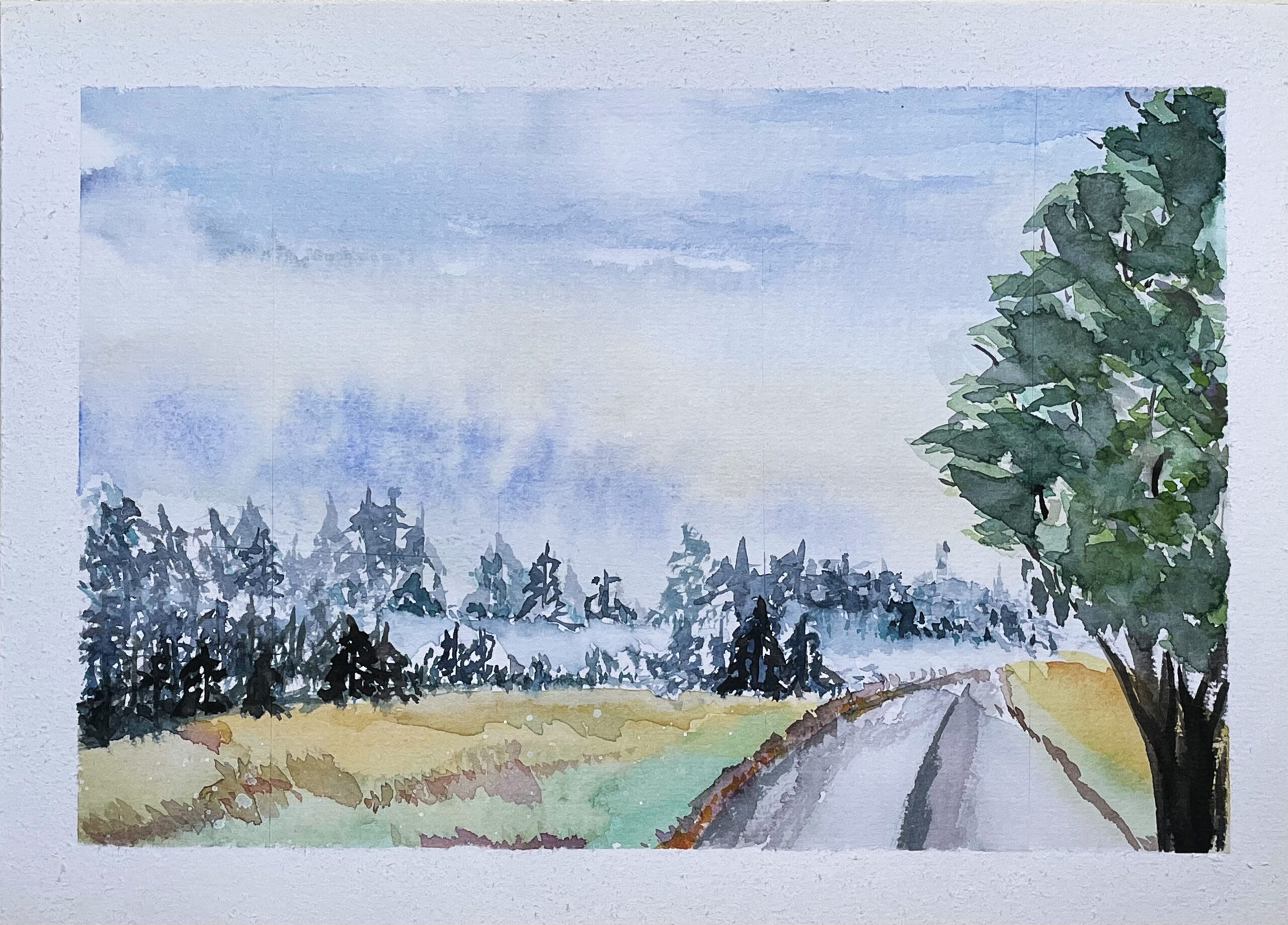Pines on the road