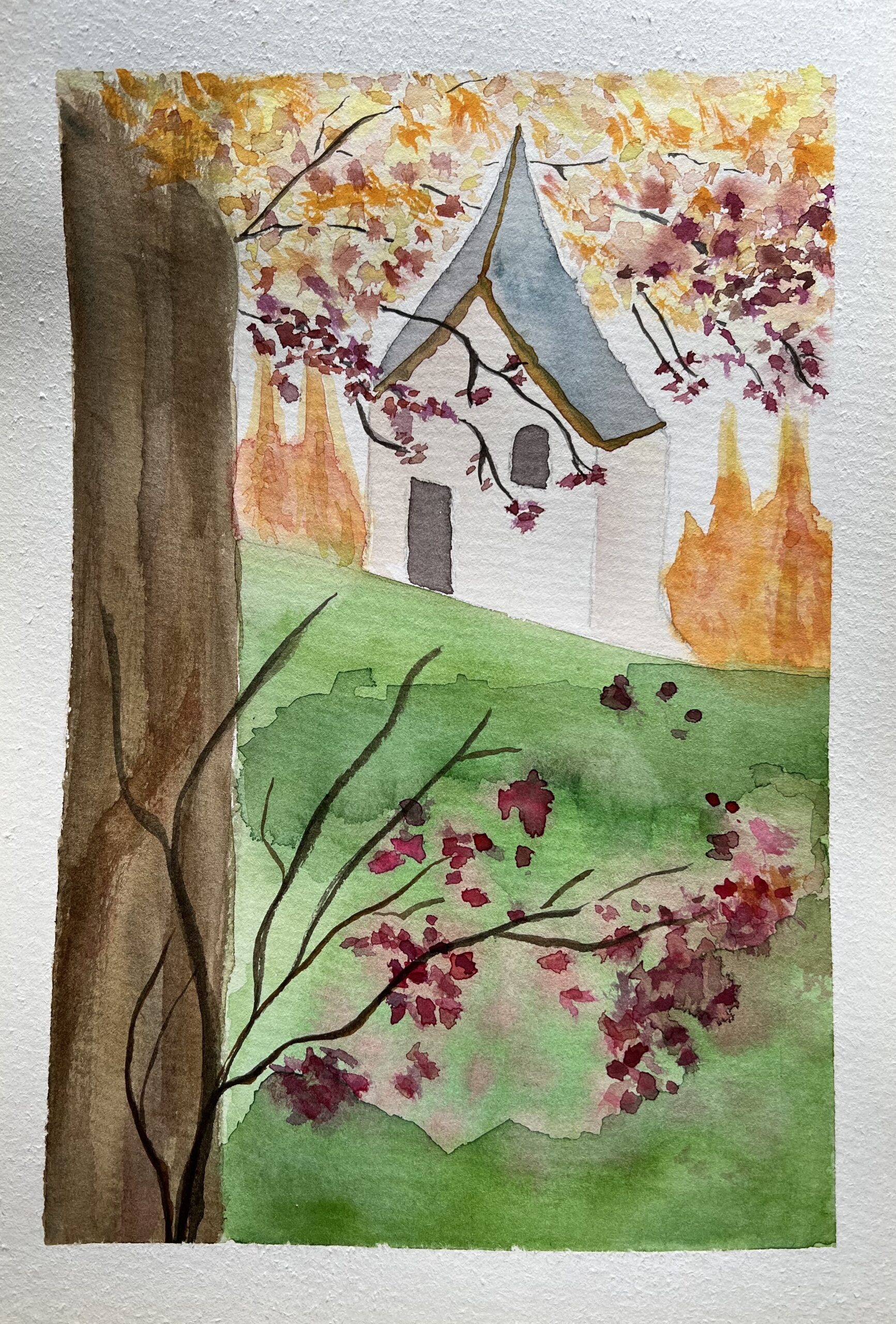 Foliage on a hill