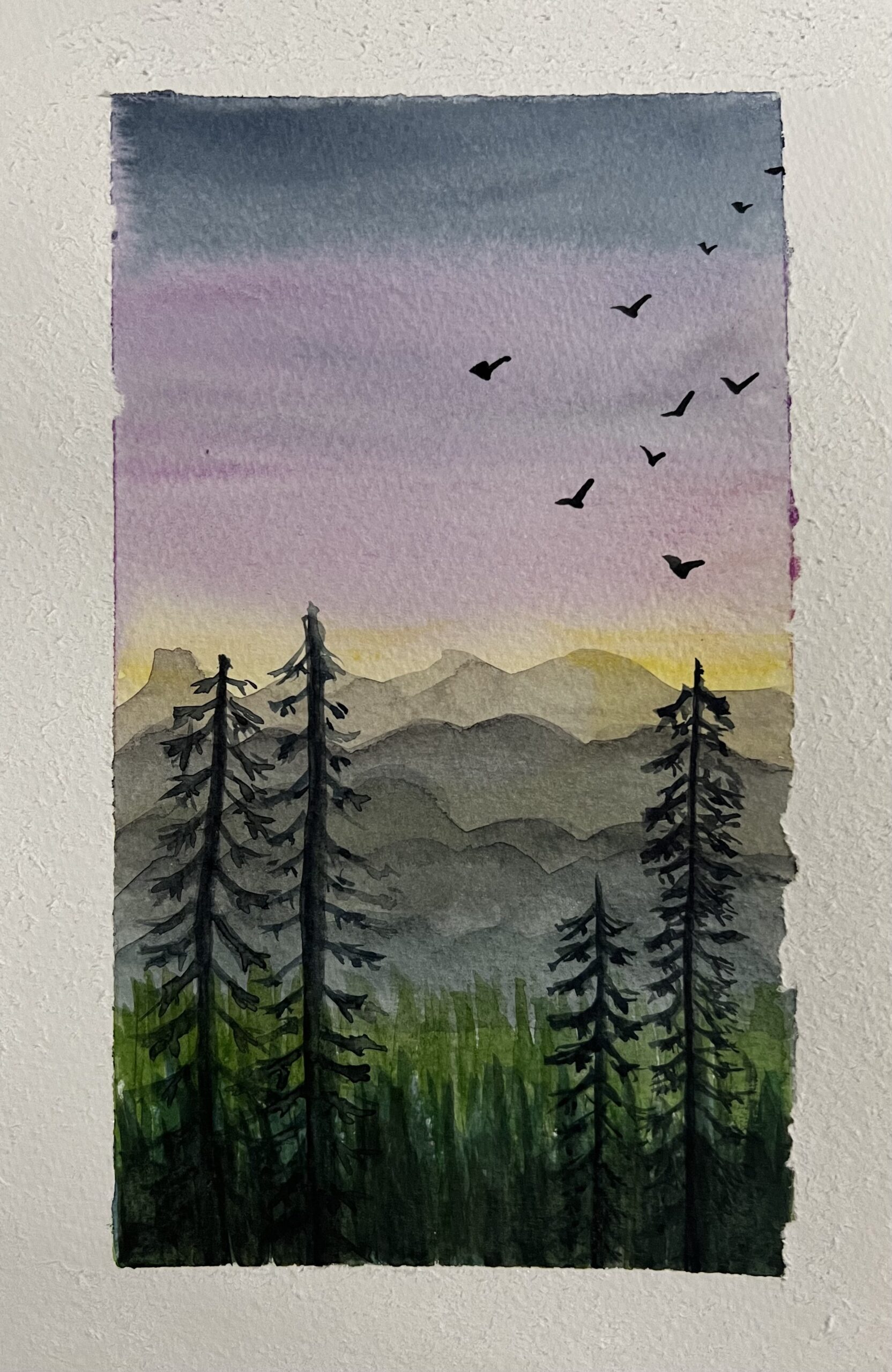 Forest