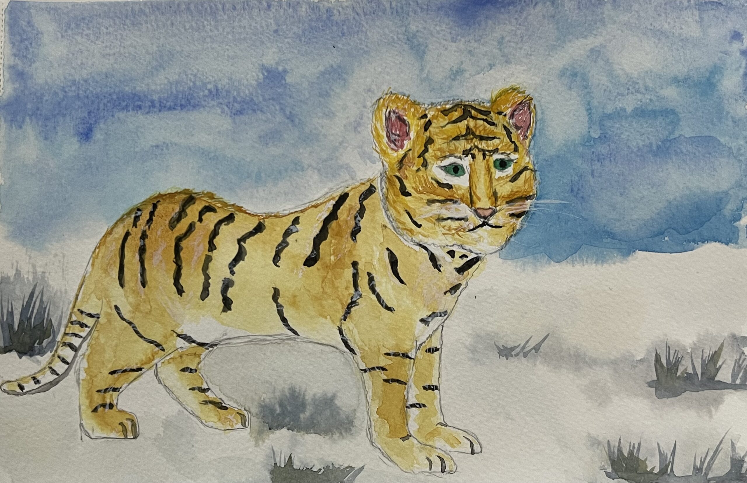 Tiger Cub