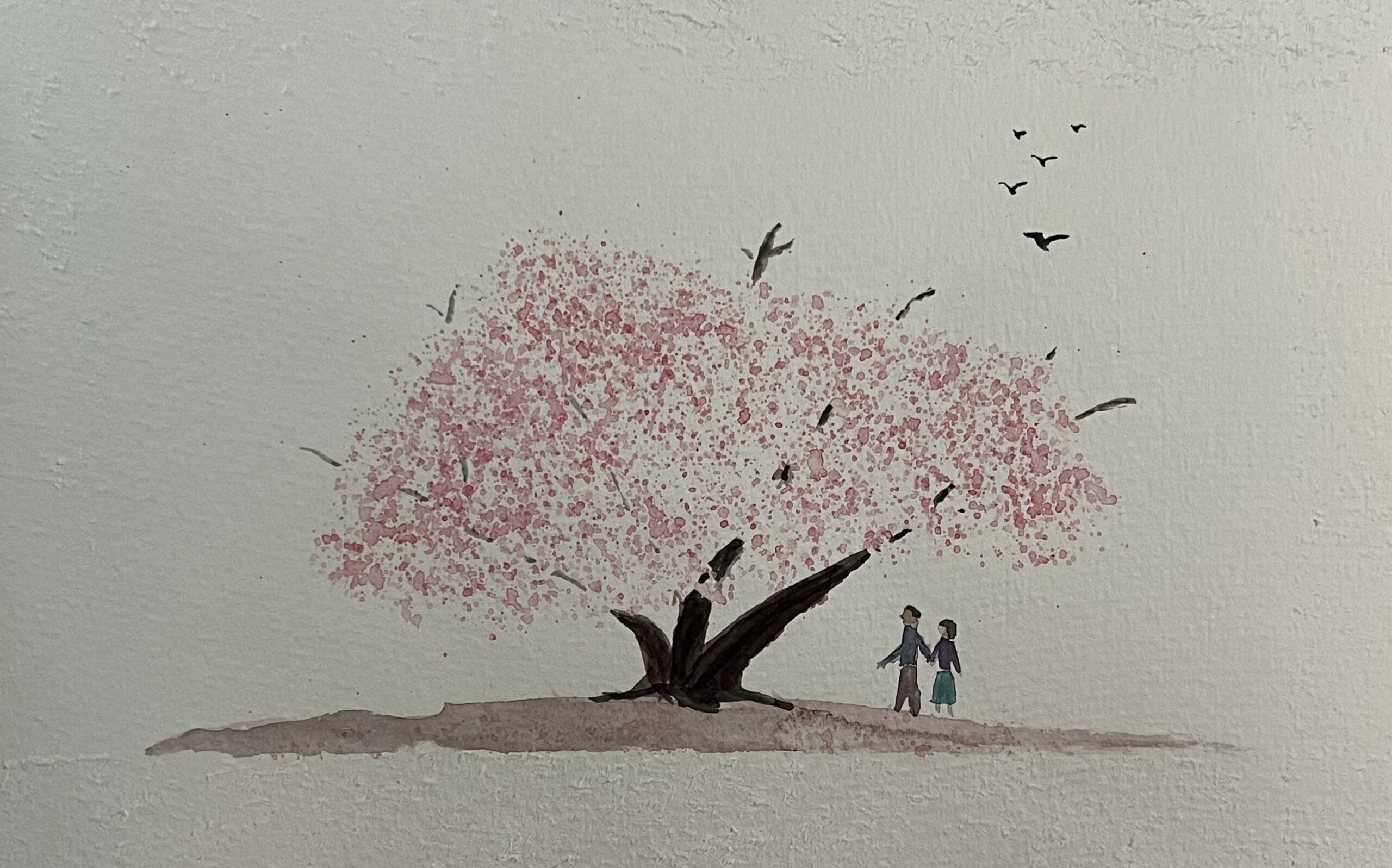 Appreciating Cherry Blossoms