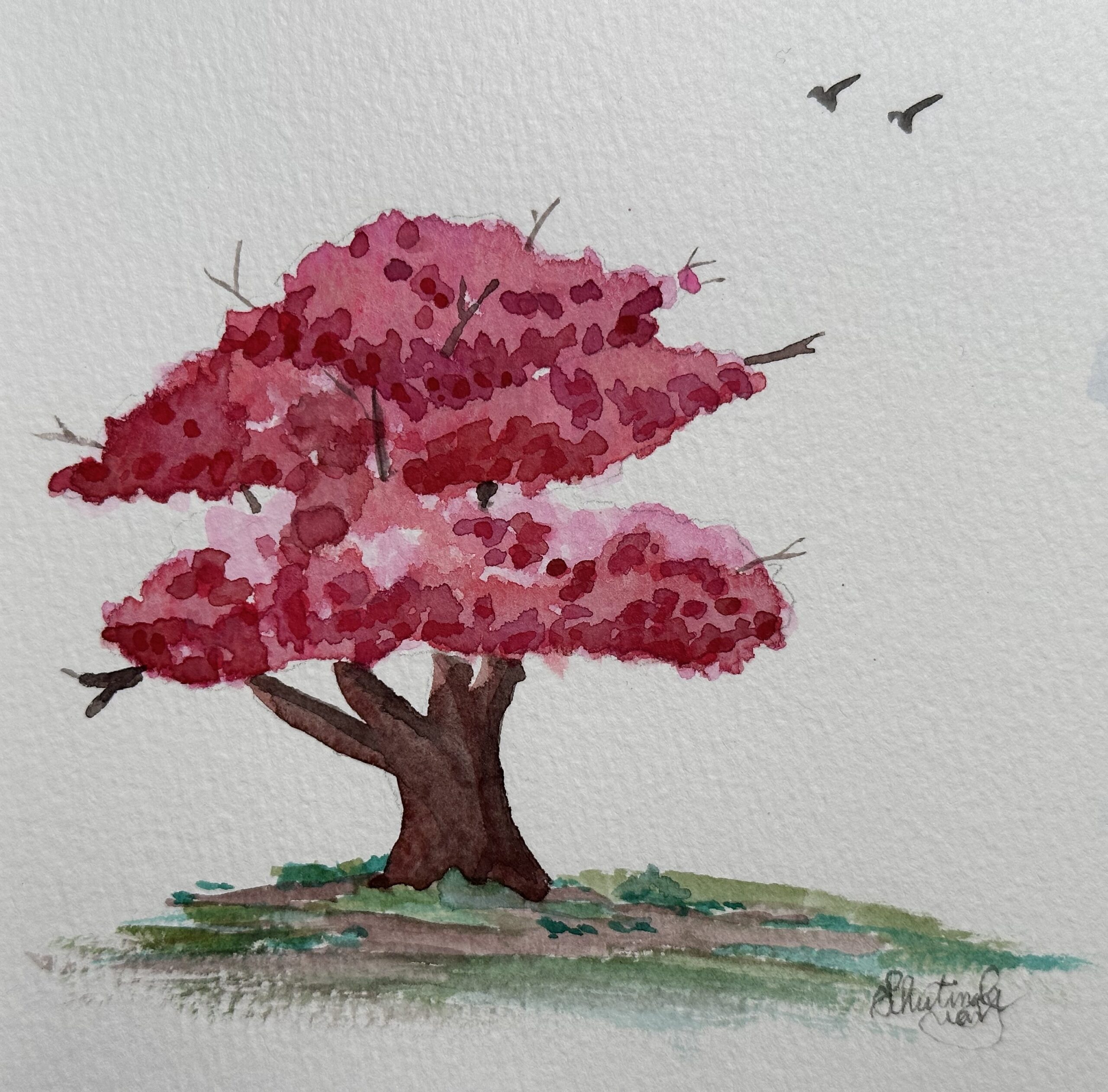Cherry tree