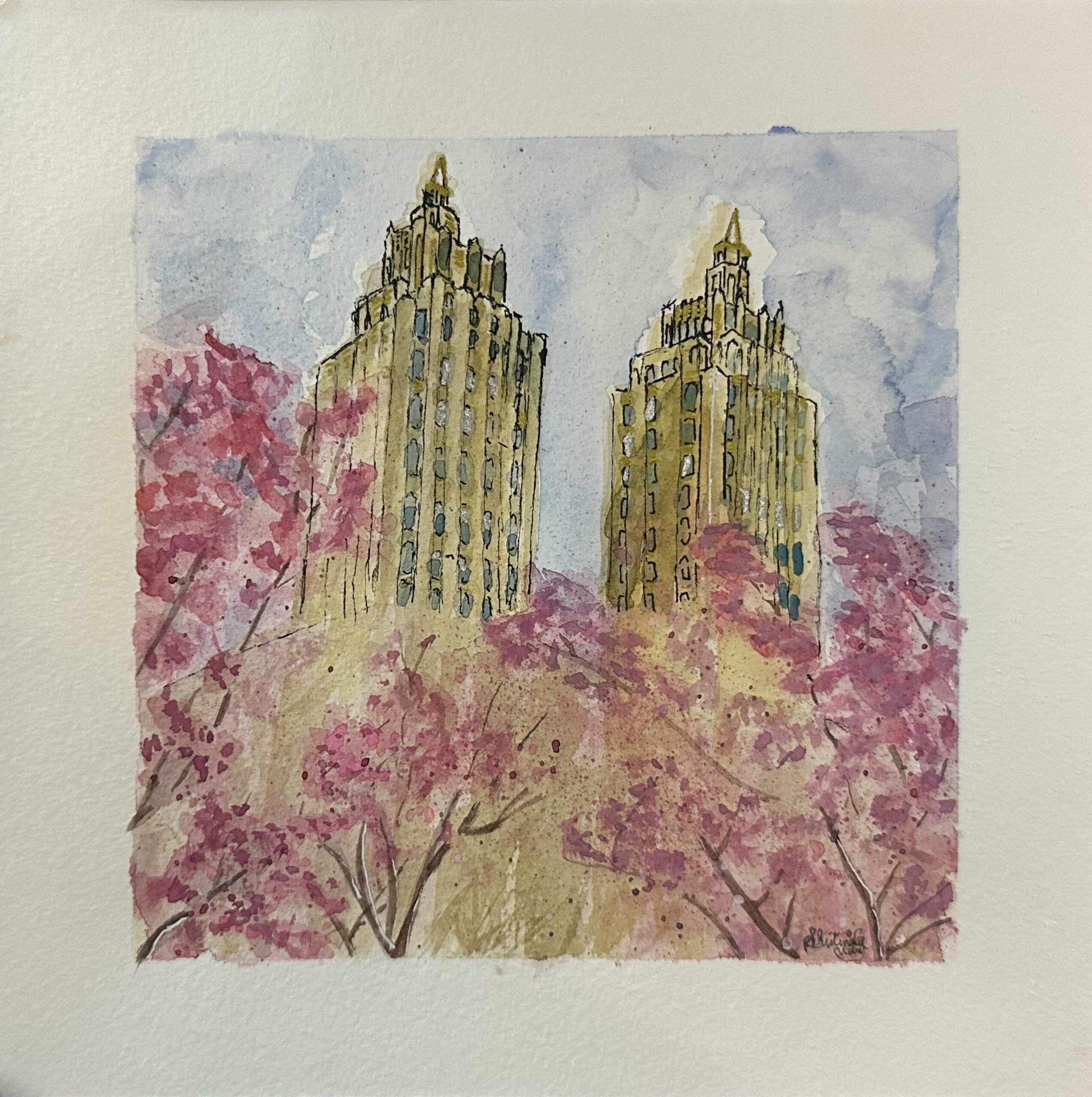 Central Park Cherry Blossoms
