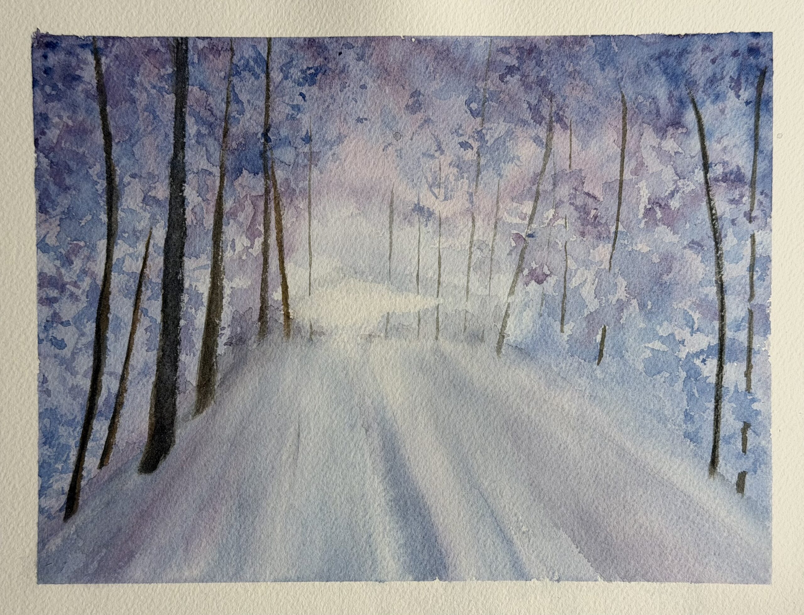 Snowy Forest