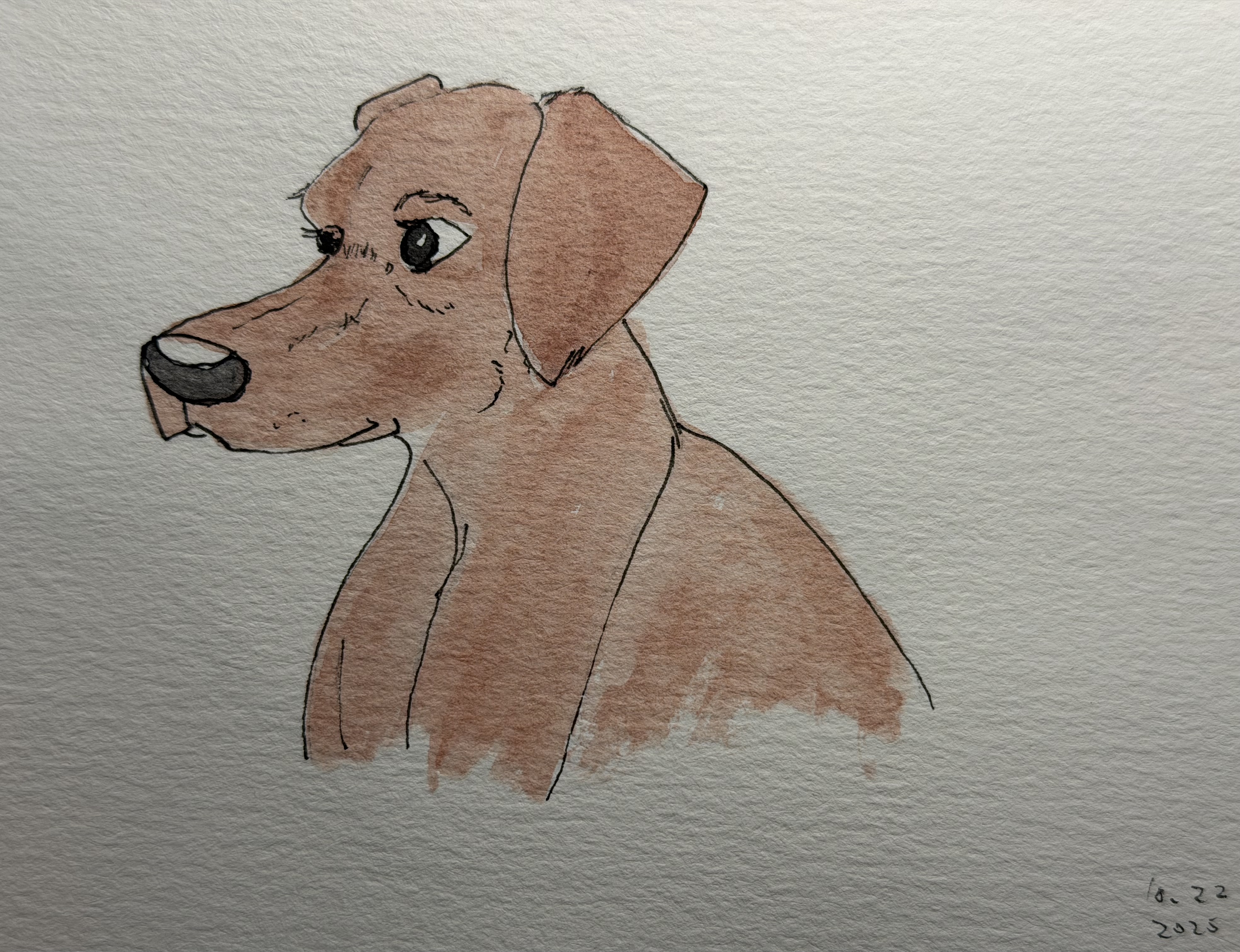 A dog in cartoon style